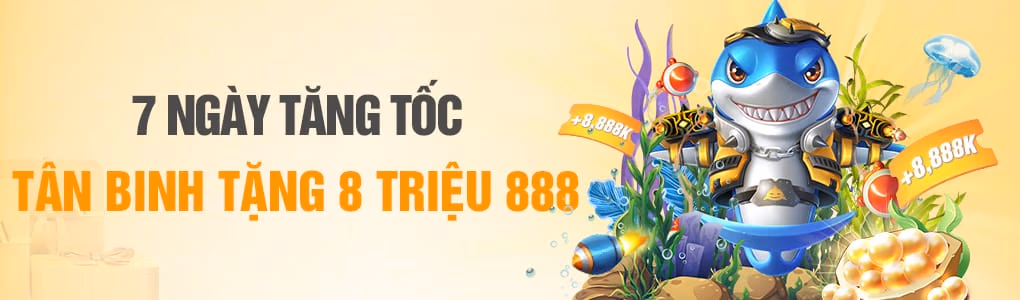 Tại Sao Chọn DT999